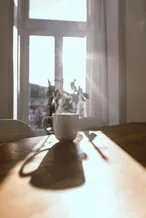 A breakfast mug on a sunny kitchen table