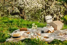 A breakfast picnic on the grass