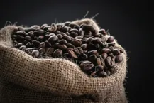 Coffee beans in a burlap sack